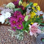Nancy Lease Davis - @nancylease - Instagram