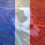 Nancy LeClair - @leclairnancy - Instagram