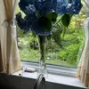 Nancyleclair - @appleuser34688825 - TikTok