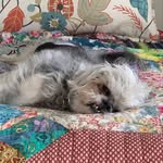 Nancy Lenehan - @therealnancylenehan - Instagram