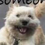 Nancy Lenihan - Facebook