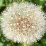 Nancy Levy - @nancy.levy.73594 - Instagram