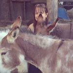 Nancy Levy - @nancymarielevy - Instagram