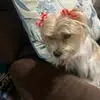 nancylevy90 - @nancy.levy6 - TikTok