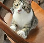 Nancy Libby - Facebook