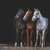 Nancy Ligon - Facebook