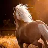 Nancy Liles - @nancy.liles - TikTok