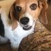 Nancy Lisk - Facebook