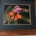Nancy Liskey - Facebook