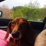 Nancy Lloyd - @nancylloyd6187 - Instagram