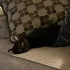 Nancy Lloyd - @nancy.lloyd5 - TikTok