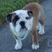 Nancy Lloyd - Facebook