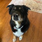 Nancy Maxwell Loftis - @nancymloftis - Instagram