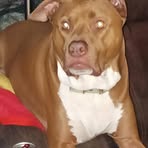Nancy Lofton - Facebook