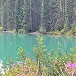 Nancy Lomax - @nancy.lomax.71 - Instagram