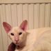 Nancy Longley - Facebook