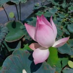NK - @nanc_ylook - Instagram