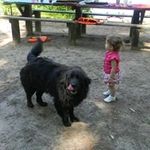 Nancy Looper - @nancy.looper - Instagram