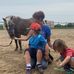 Nancy Lord - Facebook