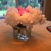 Nancy Lorence - Facebook