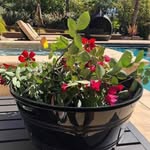 Lori nancy - @lorinancy590 - Instagram