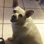 nancy lovato - @lovato5775 - Instagram