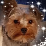 Nancy Lowe - Facebook