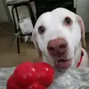 Nancy Lowe - @nancy.lowe2 - TikTok