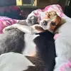 Nana - @nancy.lowry2 - TikTok