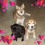 Nancy Lu - Facebook
