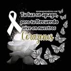Nancy Lu - Facebook