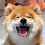 Nancy Lu - Facebook