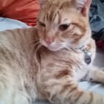 nancit@luengo - @nancyluengo257 - Instagram