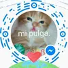 Nancy Luengo - @nancy.luengo - TikTok