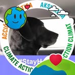 Nancy Luman - Facebook