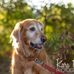 Nancy Luscombe - Facebook