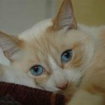 Nancy Mamlock Lyle - @nancylyle31313 - Instagram