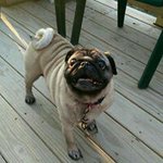 Nancy Bard Lyons - @nancylyons61 - Instagram