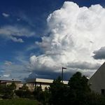 Nancy Lyons - @artemislyons - Instagram