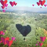 Nancy Dixon MacDougall - @nancyalice18 - Instagram