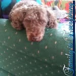 Nancy Macey - @nancysmedical - Instagram