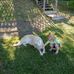 Nancy MacKinnon - Facebook
