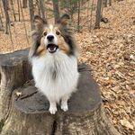 Nancy MacKinnon - @nm_mackinnon - Instagram