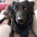Nancy McNaughton - Facebook