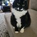 Nancy McNaughton  - Facebook