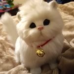Nancy Hartman Madden - @nancymadden425 - Instagram