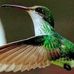 Nancy Madsen - Facebook