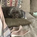 Nancy Sullivan-Maggard - Facebook