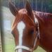 Nancy Magoon - Facebook
