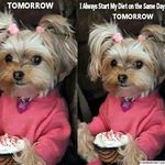 Nancy Mahan - @mahan_nancy - Instagram